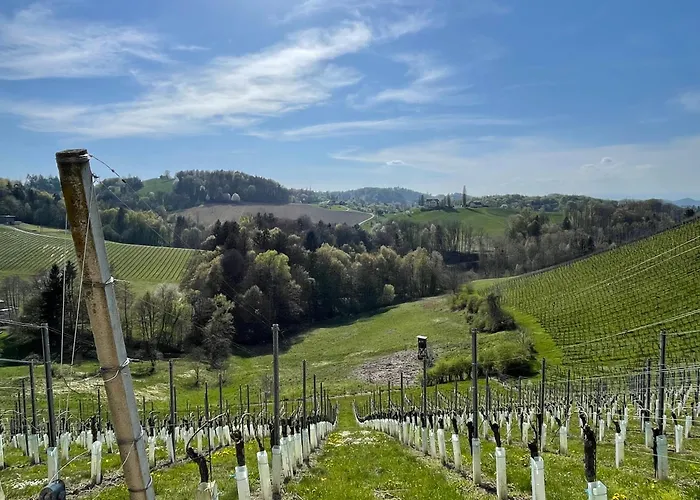 Värdshus Zur Goldenen Krone *